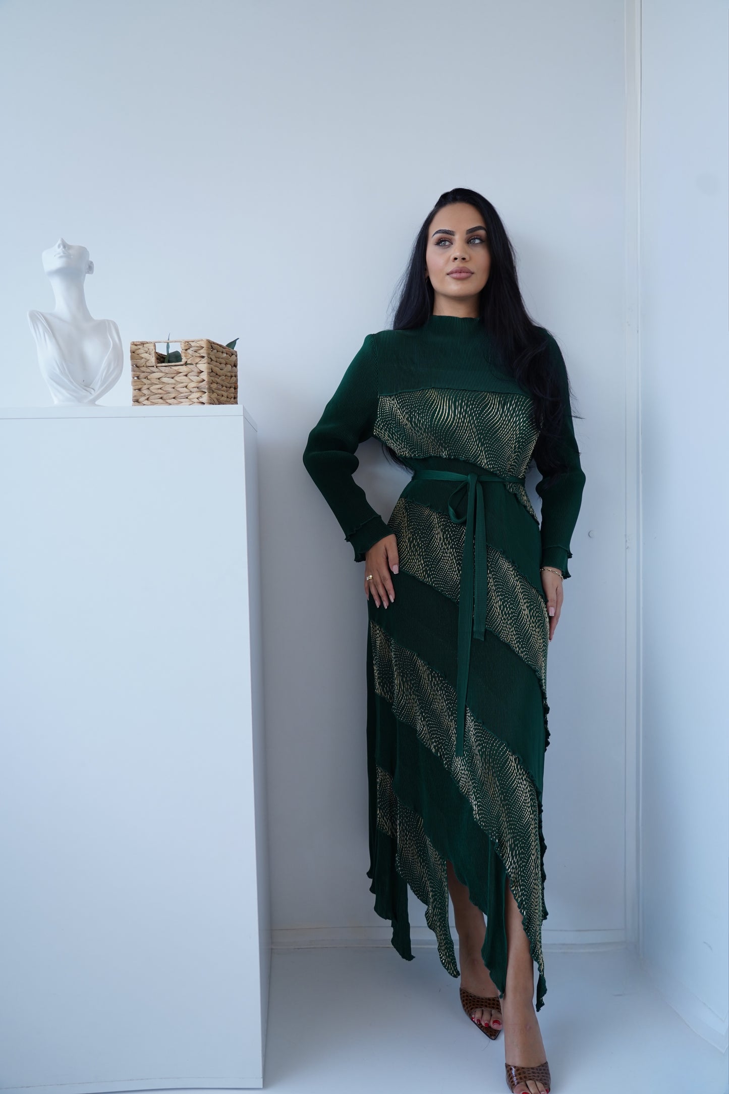 Black & Brown $ Green  Maxi Dress