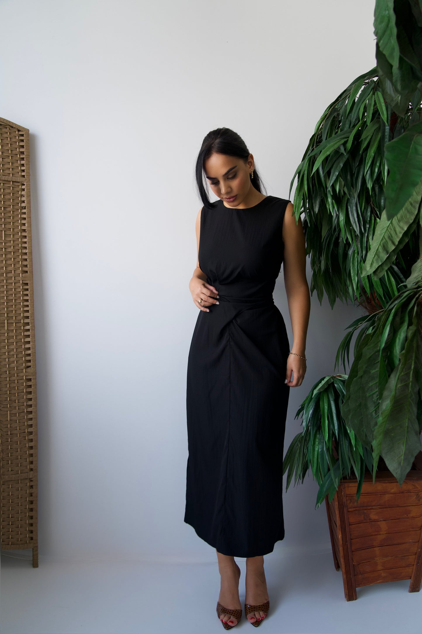 Elegant Dress – Minimalism with Finesse