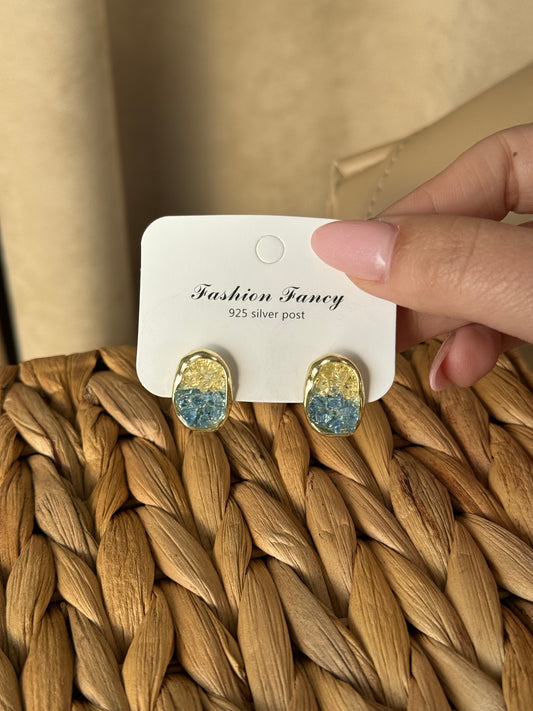 Luxury Dual-Tone Earrings – Timeless Elegance*