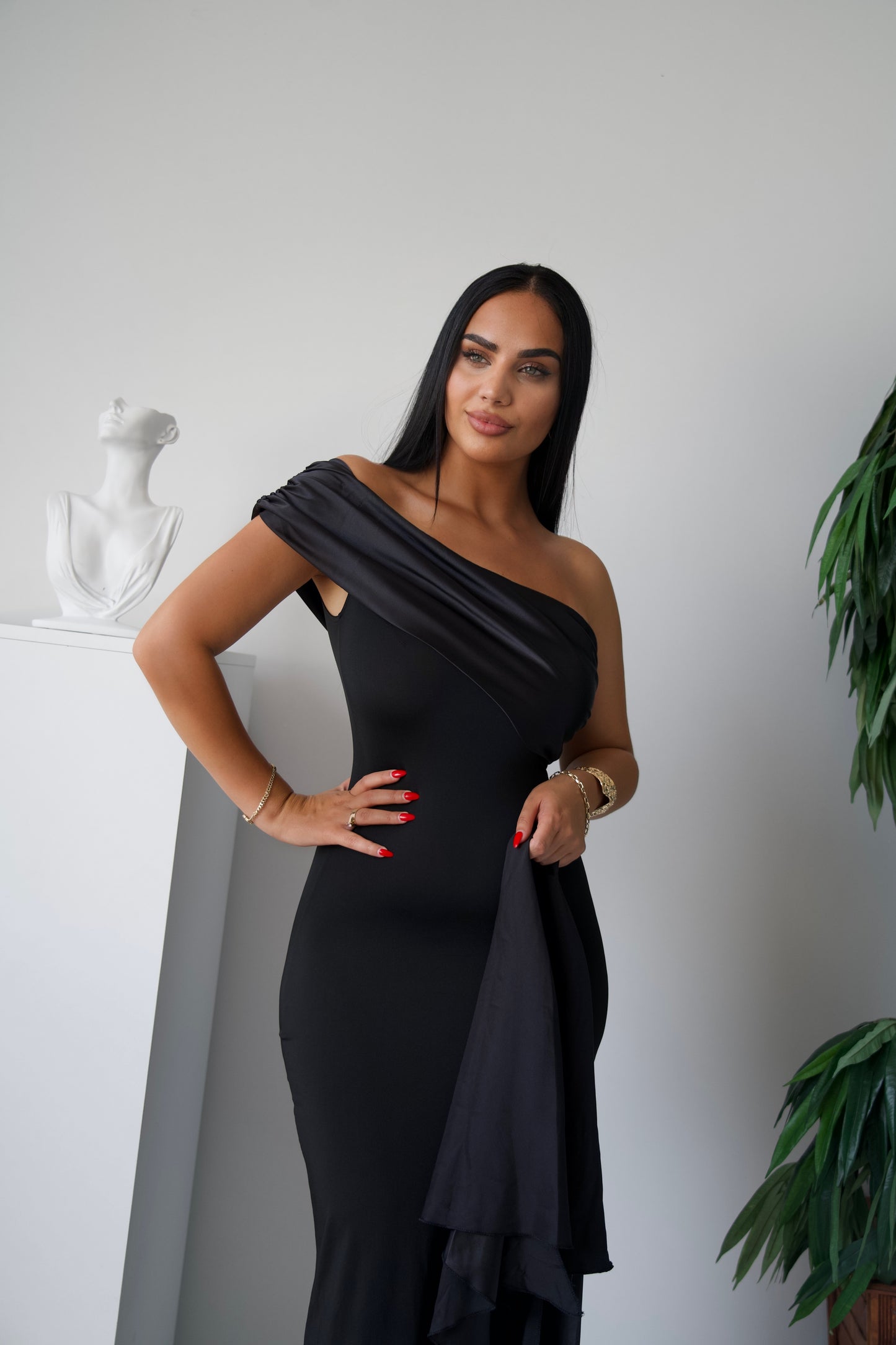 Classy Elegant Dress