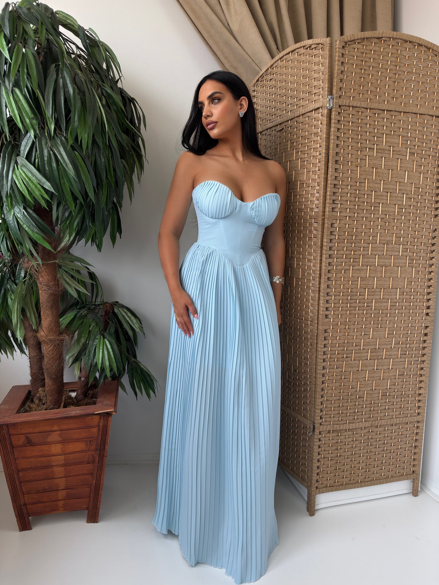 Sky Blue dresses Elegant