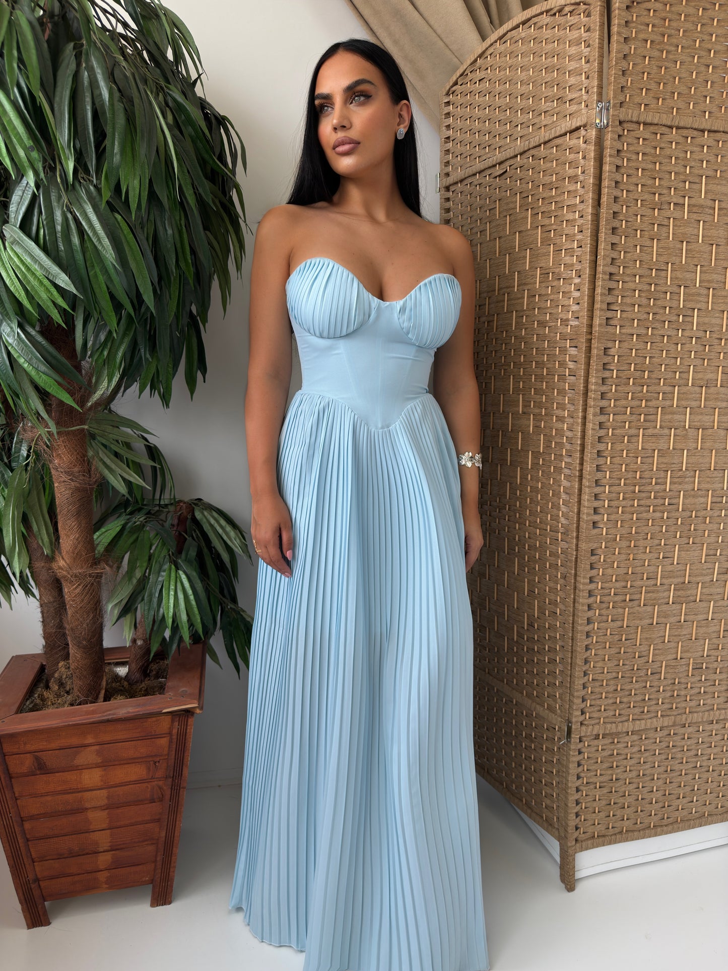 Sky Blue dresses Elegant